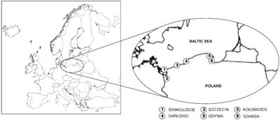 Factors influencing the adoption of circular economy practices in polish seaports: an analysis of determinants and challenges